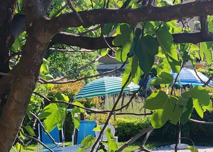 Casa Fontanera Гостевой дом Граведона